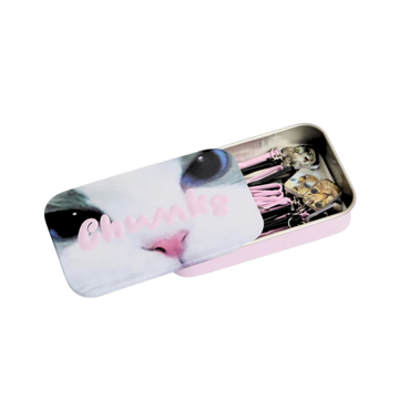 Kitty Bobby Pins