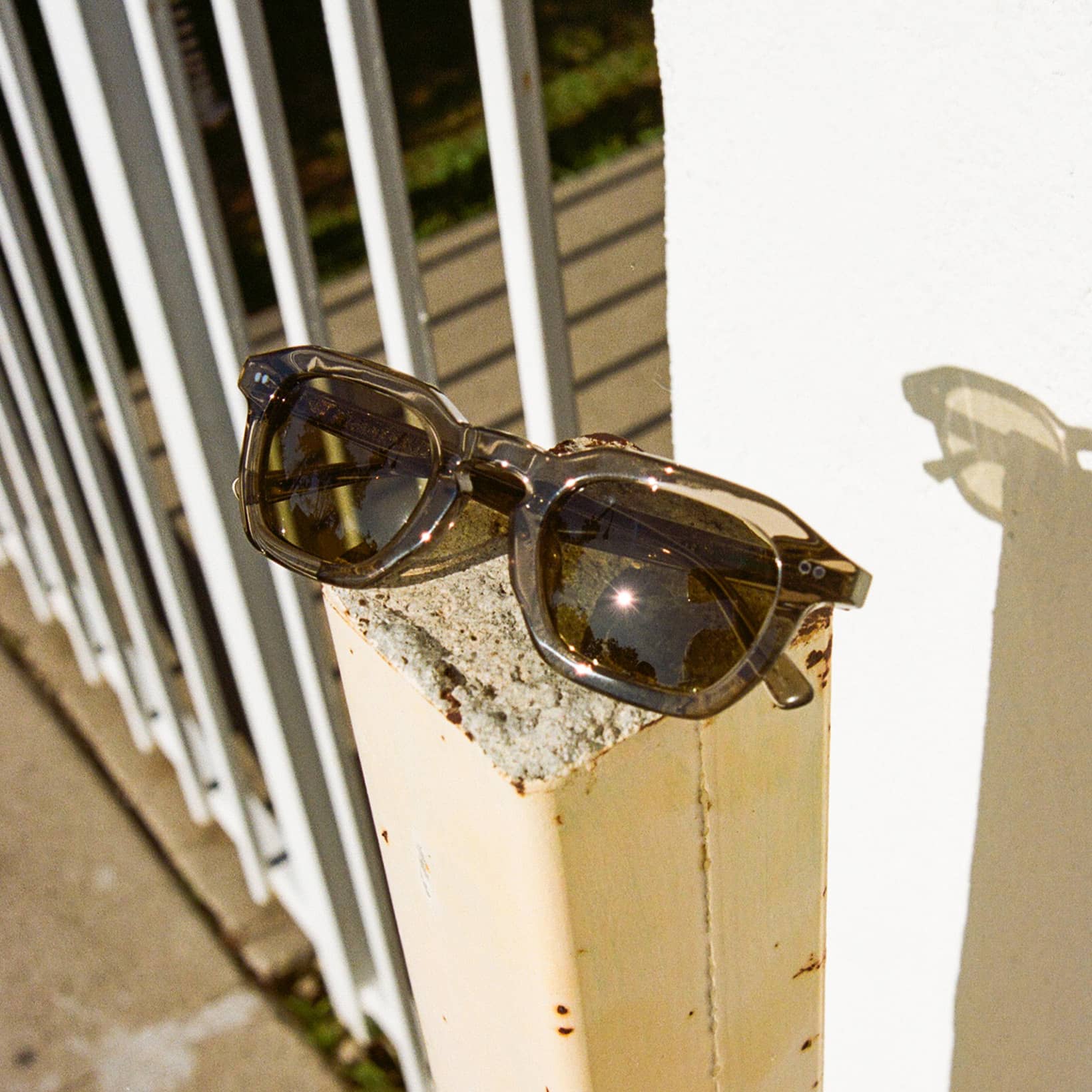 【CRAP EYEWEAR】THE NO WAVE**Licorice Bio / Rosewood Crap® Eyewear | The No Wave Black Licorice Bioacetate