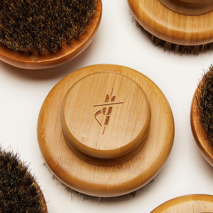 The Dry Brush