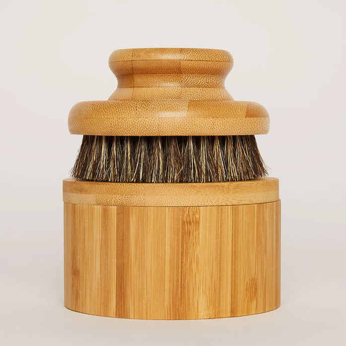The Dry Brush