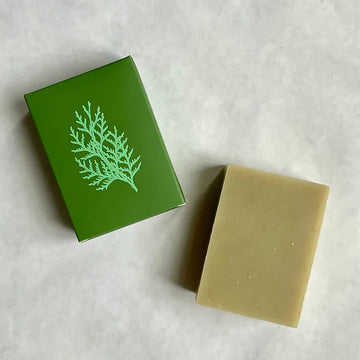 Rosemary and Cedar Soap