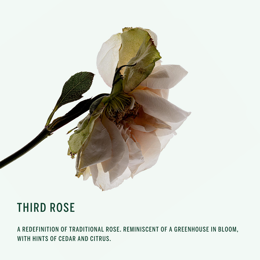 Third Rose Deodorant Stick